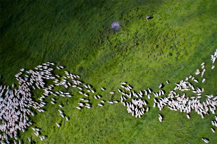 National Geographic en Dronestagram luchtfotografie wedstrijd 2016