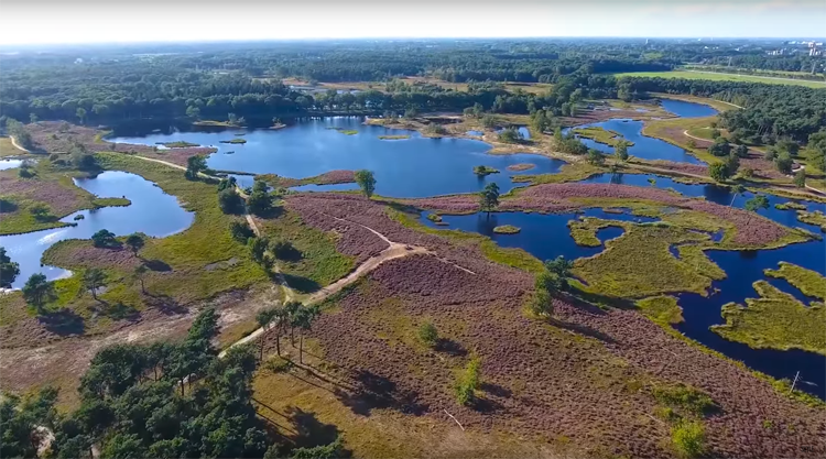 DJI Phantom 4 filmt de Hatertse en Overasseltse Vennen